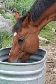 Letters to the Editor From Our Readers, Spring 2015 Image